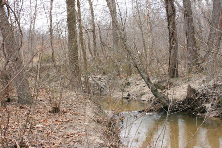 Field photo showing stream conditions at site PAXL-211-A-2011-1