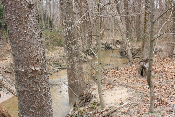 Field photo showing stream conditions at site PAXL-211-A-2011-2