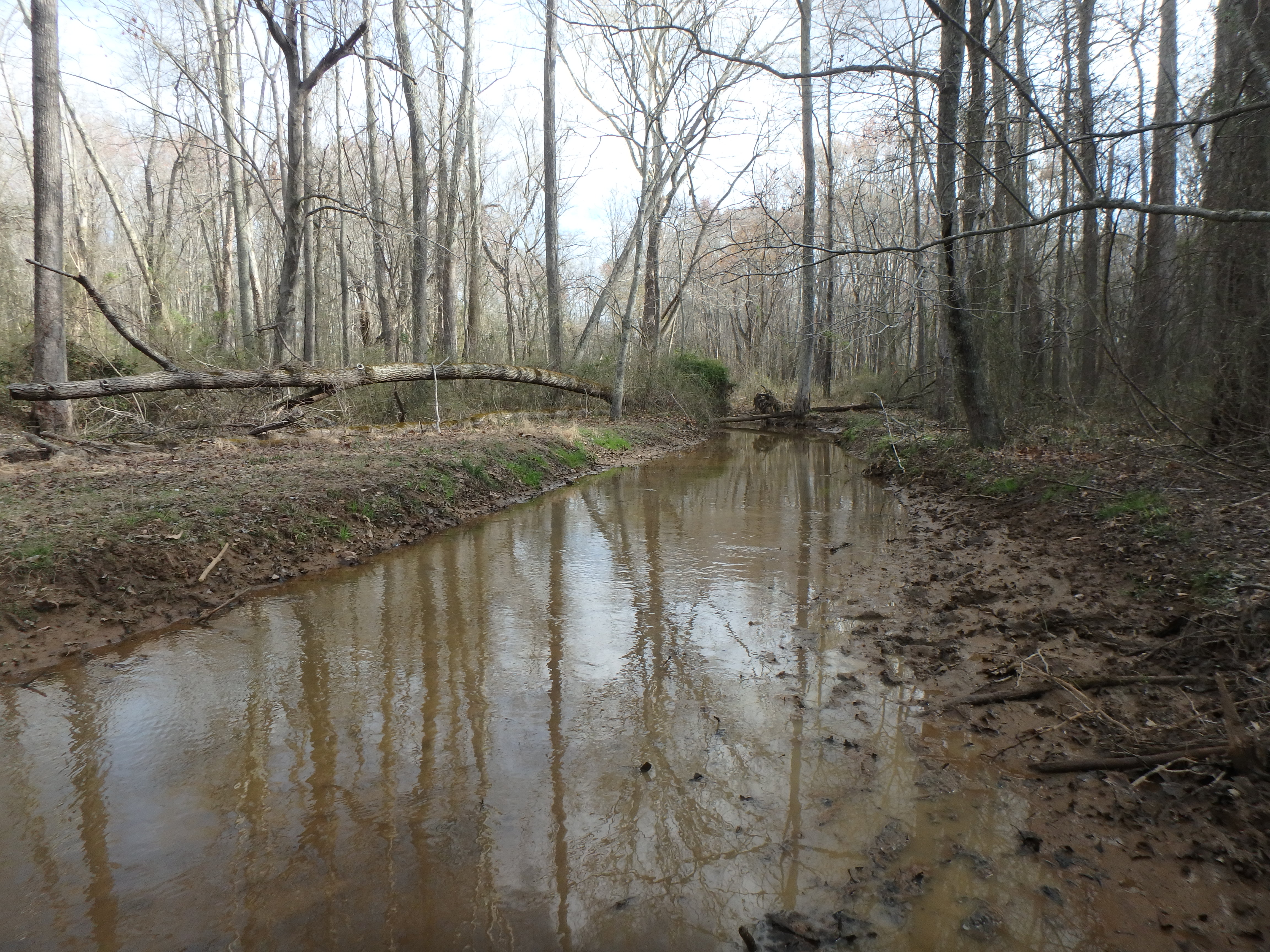 Field photo showing stream conditions at site PAXL-230-R-2017-50MLookingUpstream