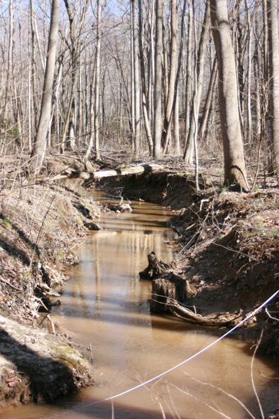 Field photo showing stream conditions at site PAXL-293-A-2011-1
