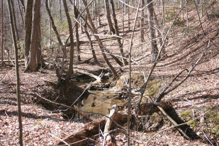 Field photo showing stream conditions at site PAXL-293-A-2011-2