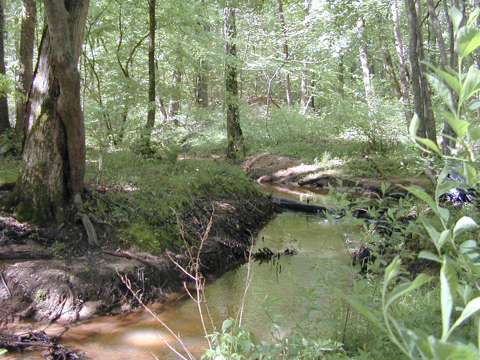 Field photo showing stream conditions at site PAXL-293-E-2004-1