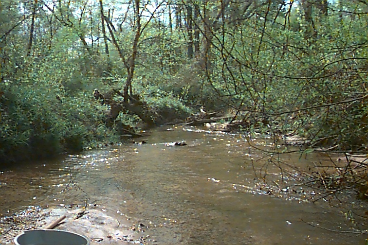 Field photo showing stream conditions at site PAXL-294-S-2000-02
