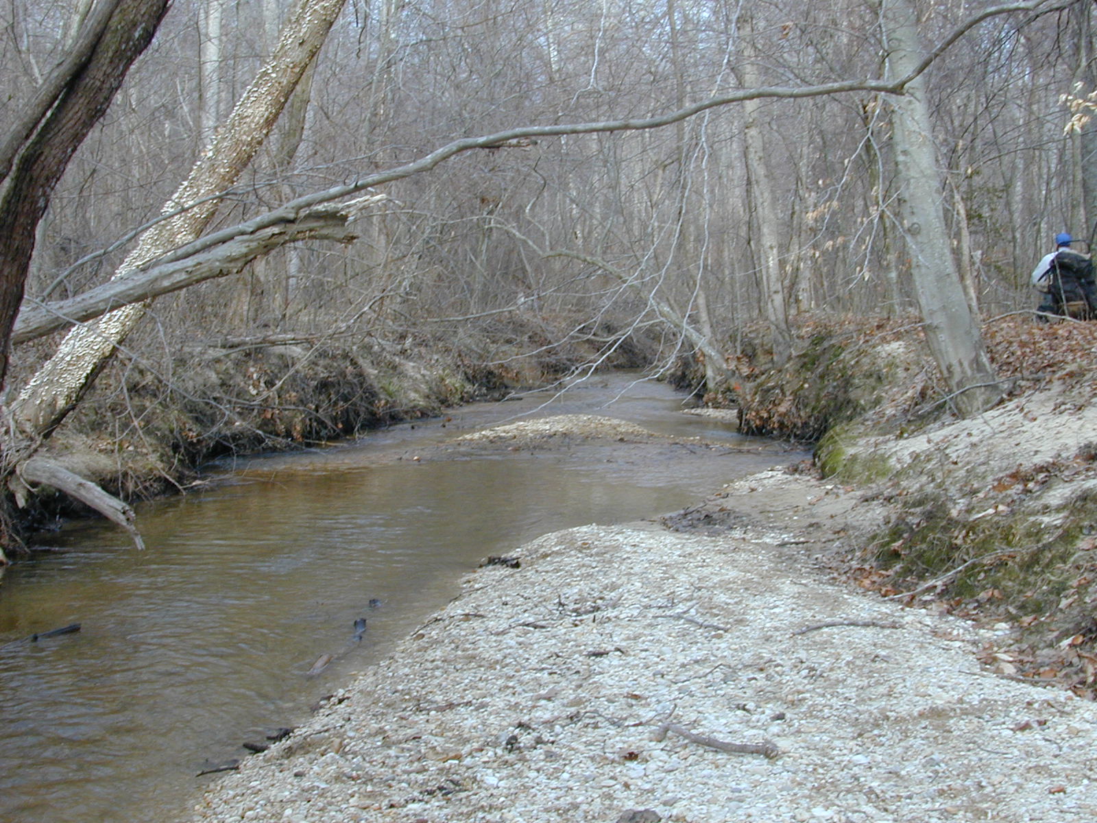 Field photo showing stream conditions at site PAXL-294-S-2001-87