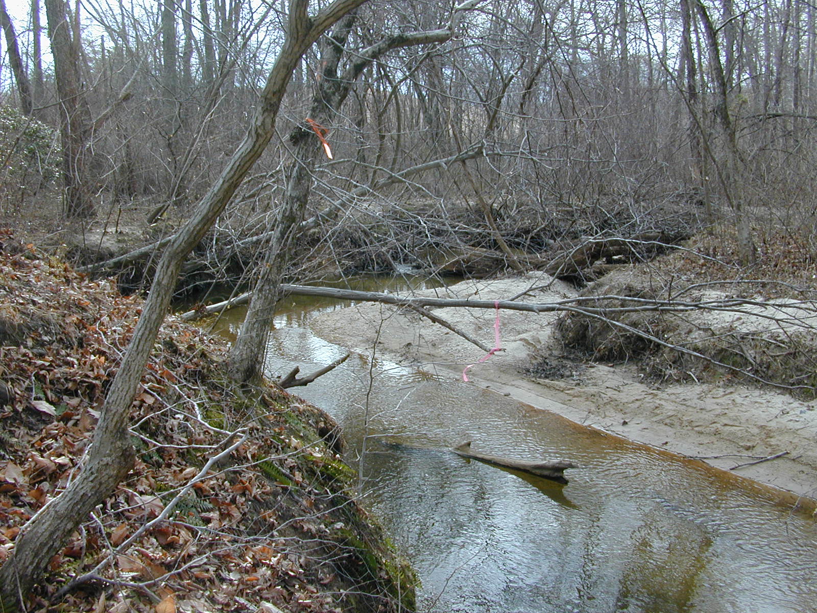 Field photo showing stream conditions at site PAXL-294-S-2001-88