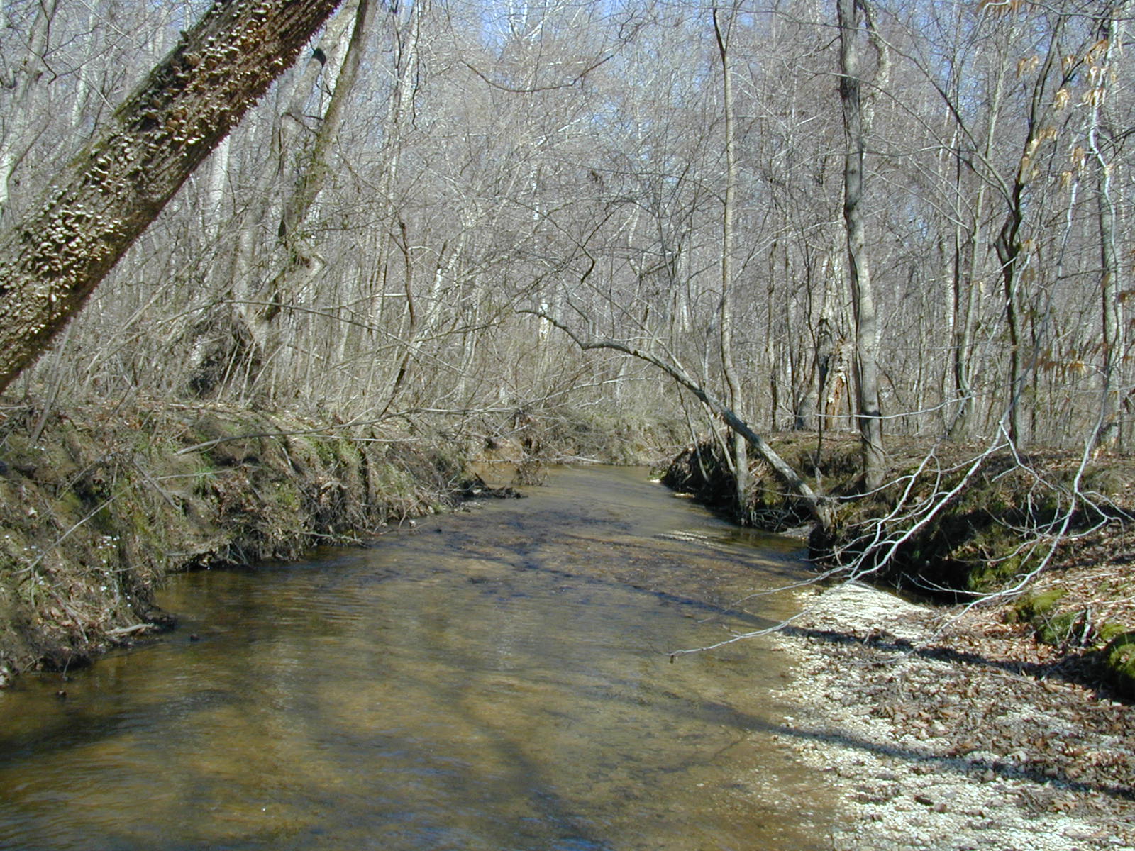 Field photo showing stream conditions at site PAXL-294-S-2002-442