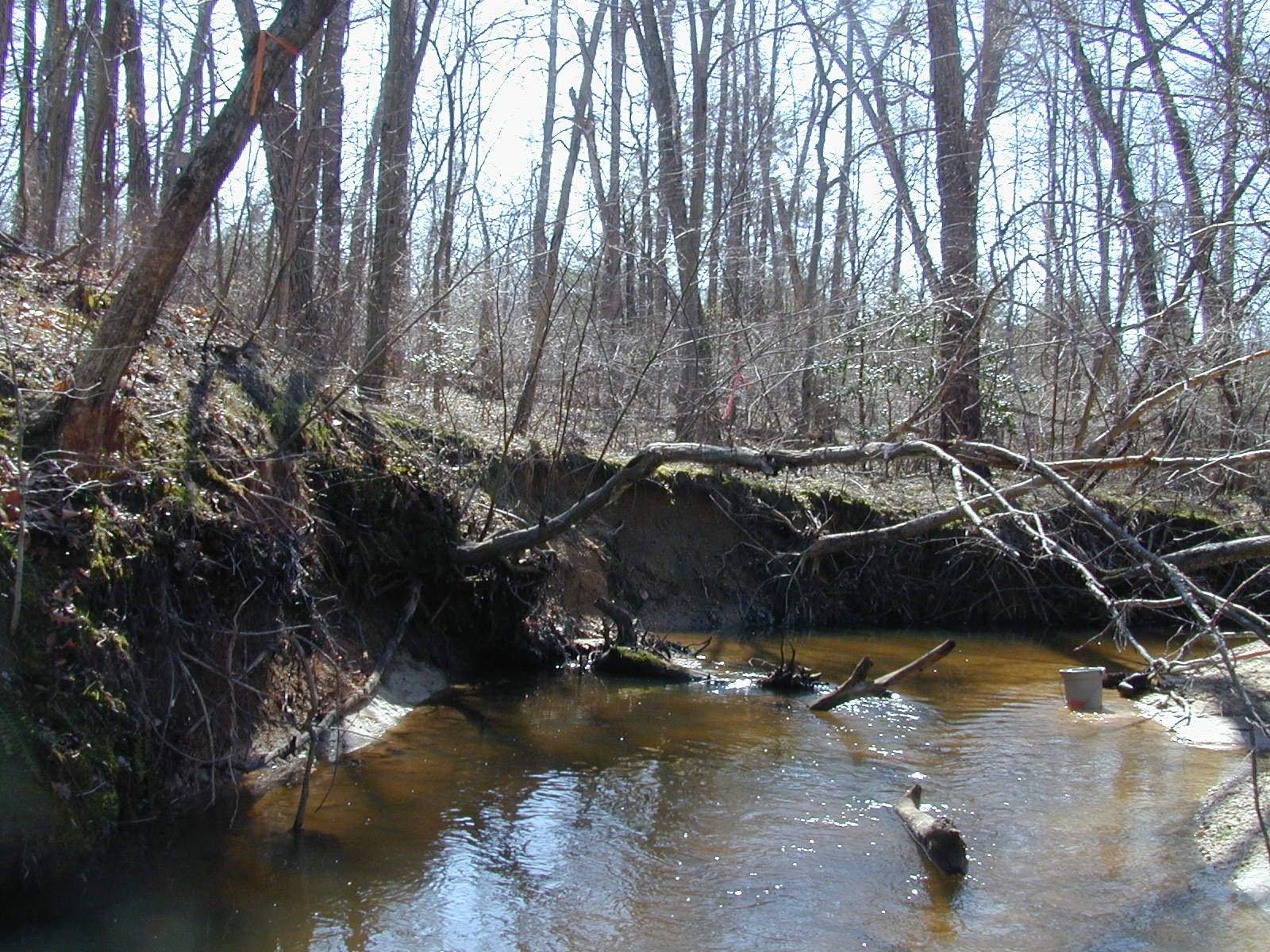 Field photo showing stream conditions at site PAXL-294-S-2002-443