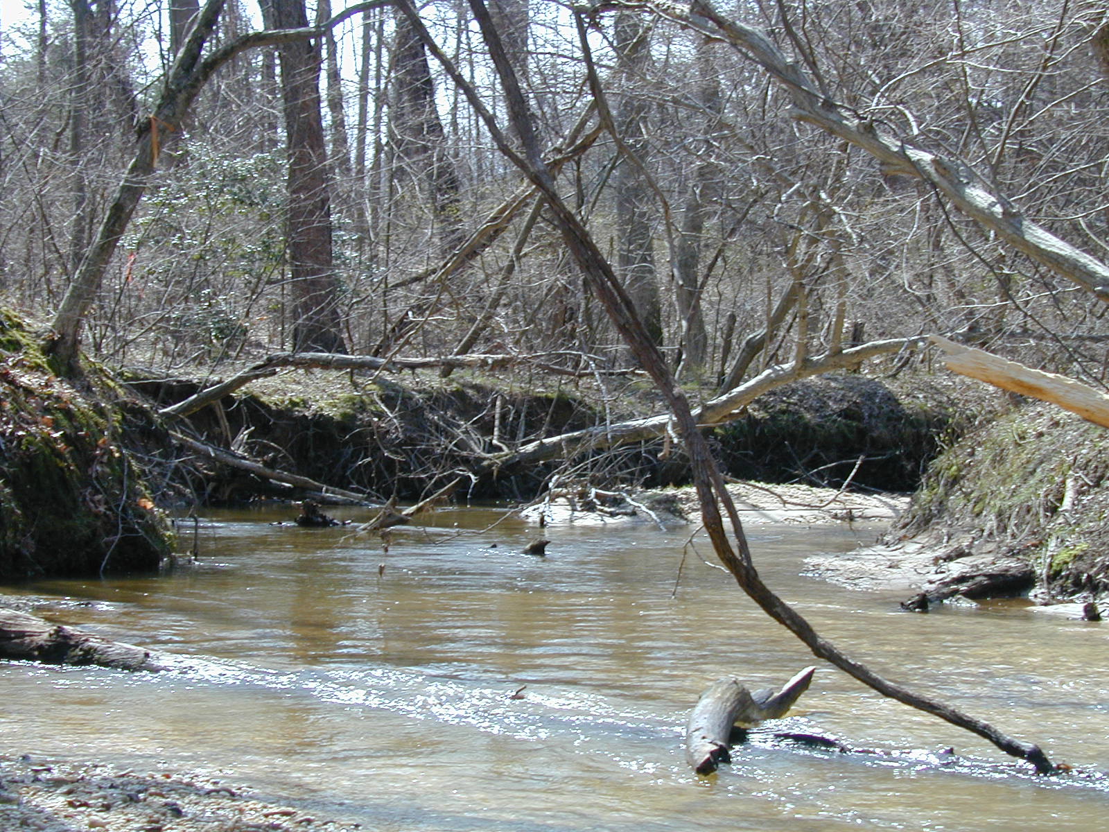 Field photo showing stream conditions at site PAXL-294-S-2003-730