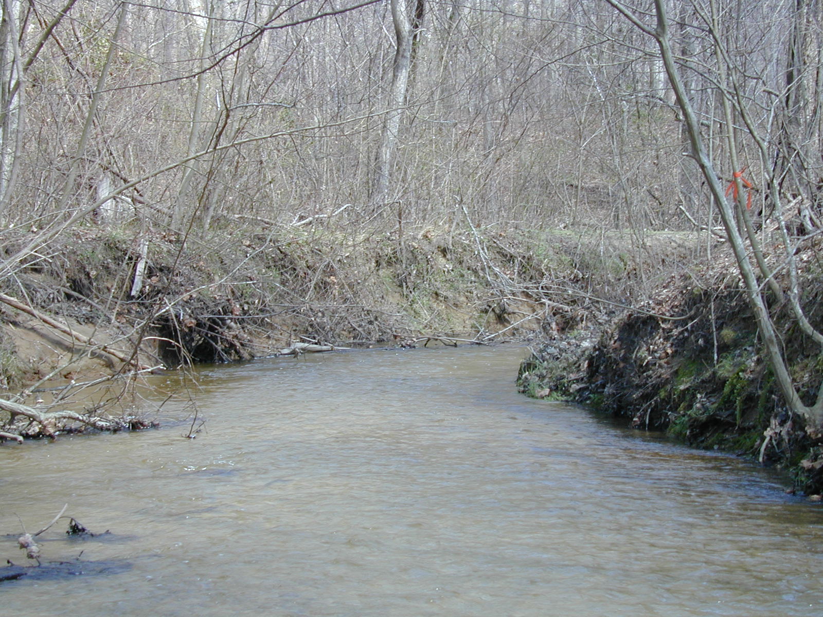 Field photo showing stream conditions at site PAXL-294-S-2003-731