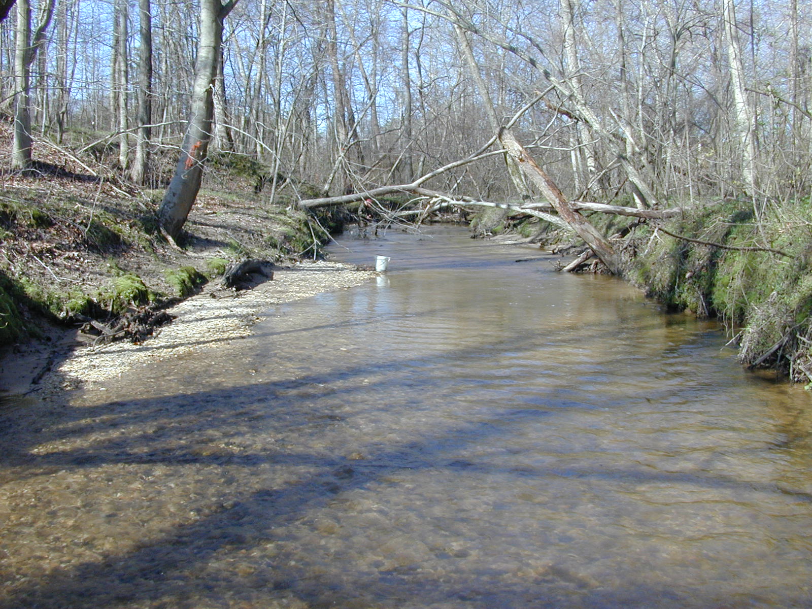 Field photo showing stream conditions at site PAXL-294-S-2004-1