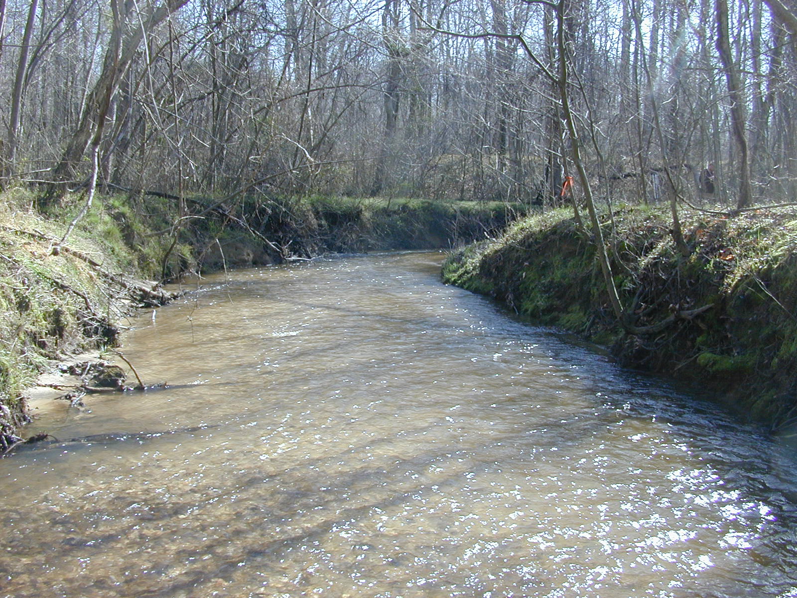 Field photo showing stream conditions at site PAXL-294-S-2004-2