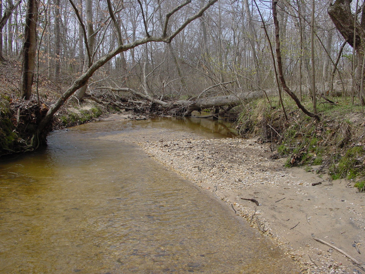Field photo showing stream conditions at site PAXL-294-S-2007-1