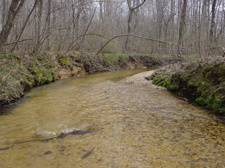 Field photo showing stream conditions at site PAXL-294-S-2007-2