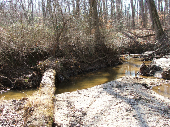 Field photo showing stream conditions at site PAXL-294-S-2008-1