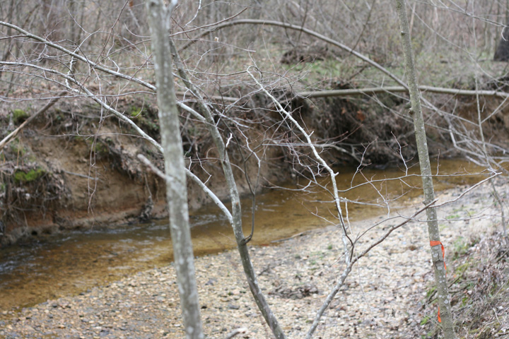 Field photo showing stream conditions at site PAXL-294-S-2009-1