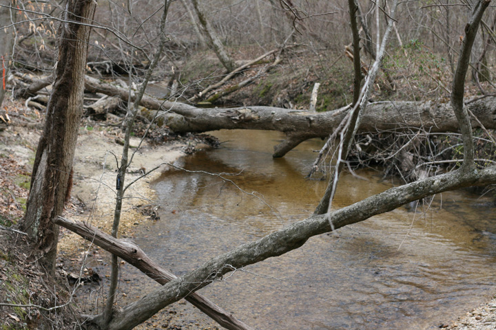 Field photo showing stream conditions at site PAXL-294-S-2009-2