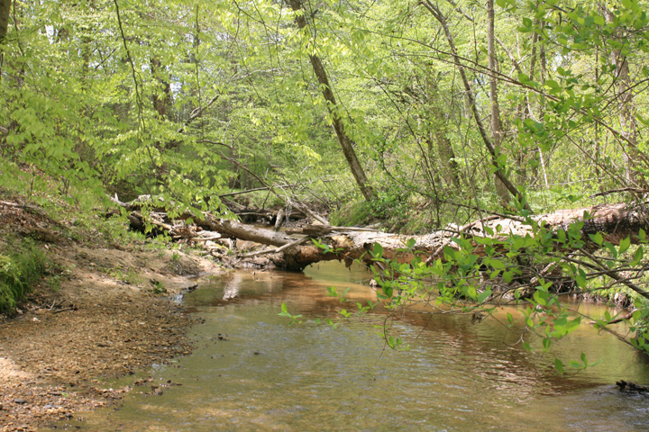 Field photo showing stream conditions at site PAXL-294-S-2010-1