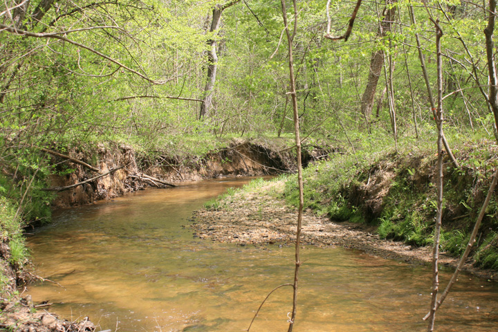 Field photo showing stream conditions at site PAXL-294-S-2010-2