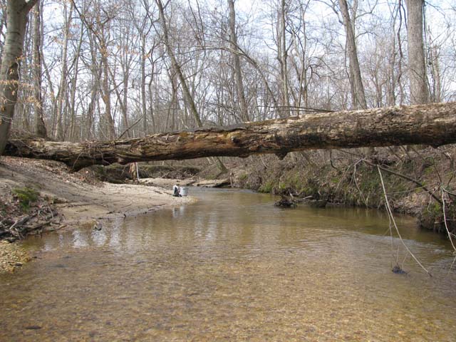 Field photo showing stream conditions at site PAXL-294-S-2012-1