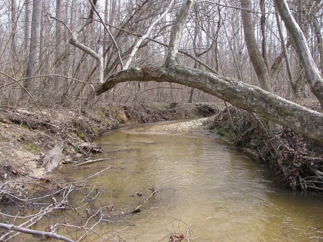 Field photo showing stream conditions at site PAXL-294-S-2012-2