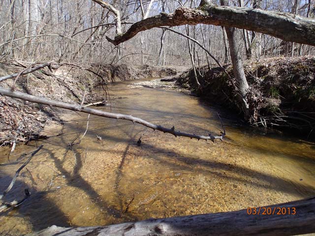 Field photo showing stream conditions at site PAXL-294-S-2013-MidpointPdownstream
