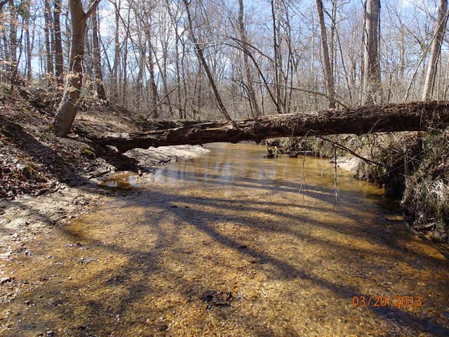 Field photo showing stream conditions at site PAXL-294-S-2013-MidpointPupstream