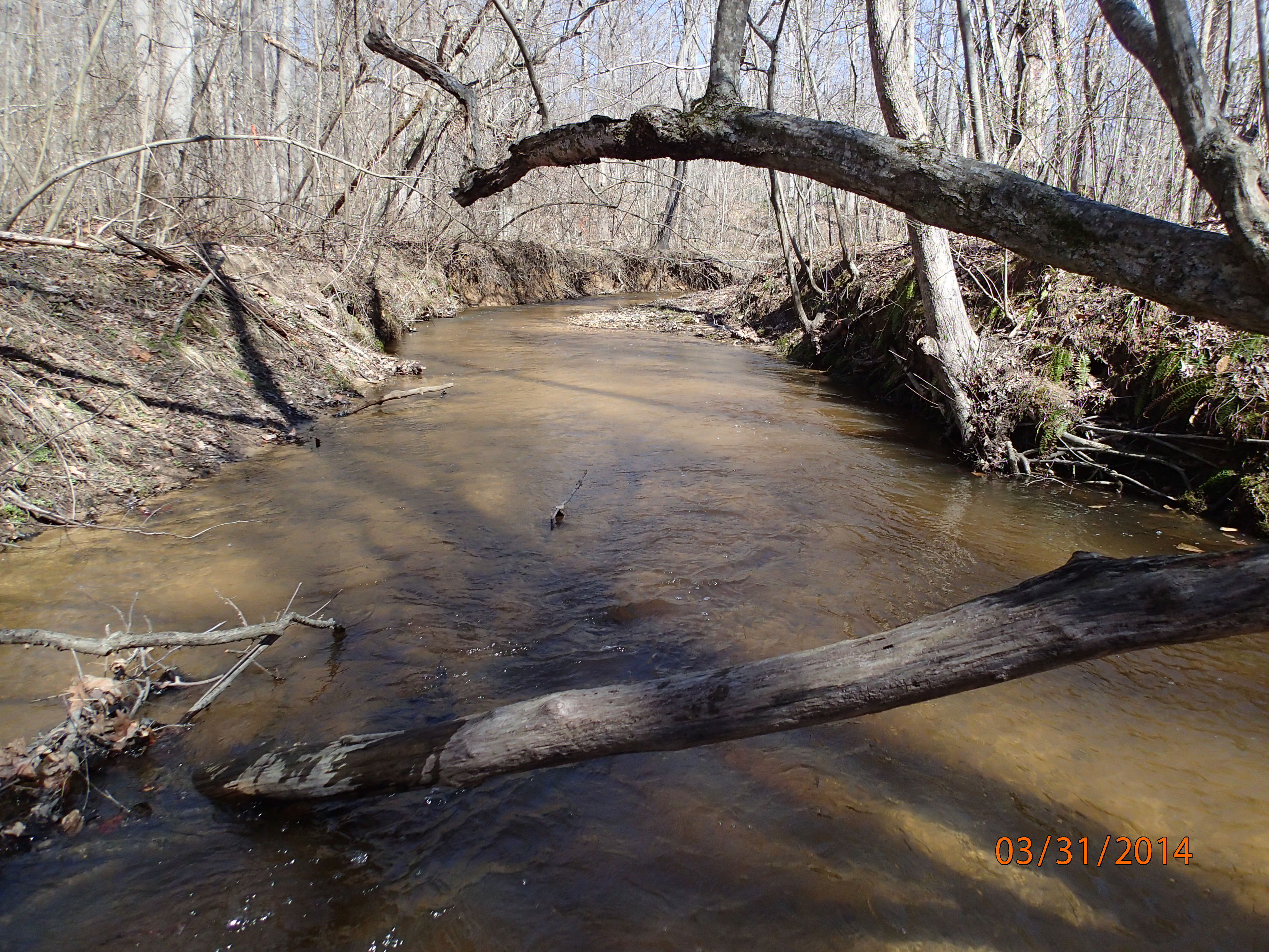 Field photo showing stream conditions at site PAXL-294-S-2014-MidpointDownstream