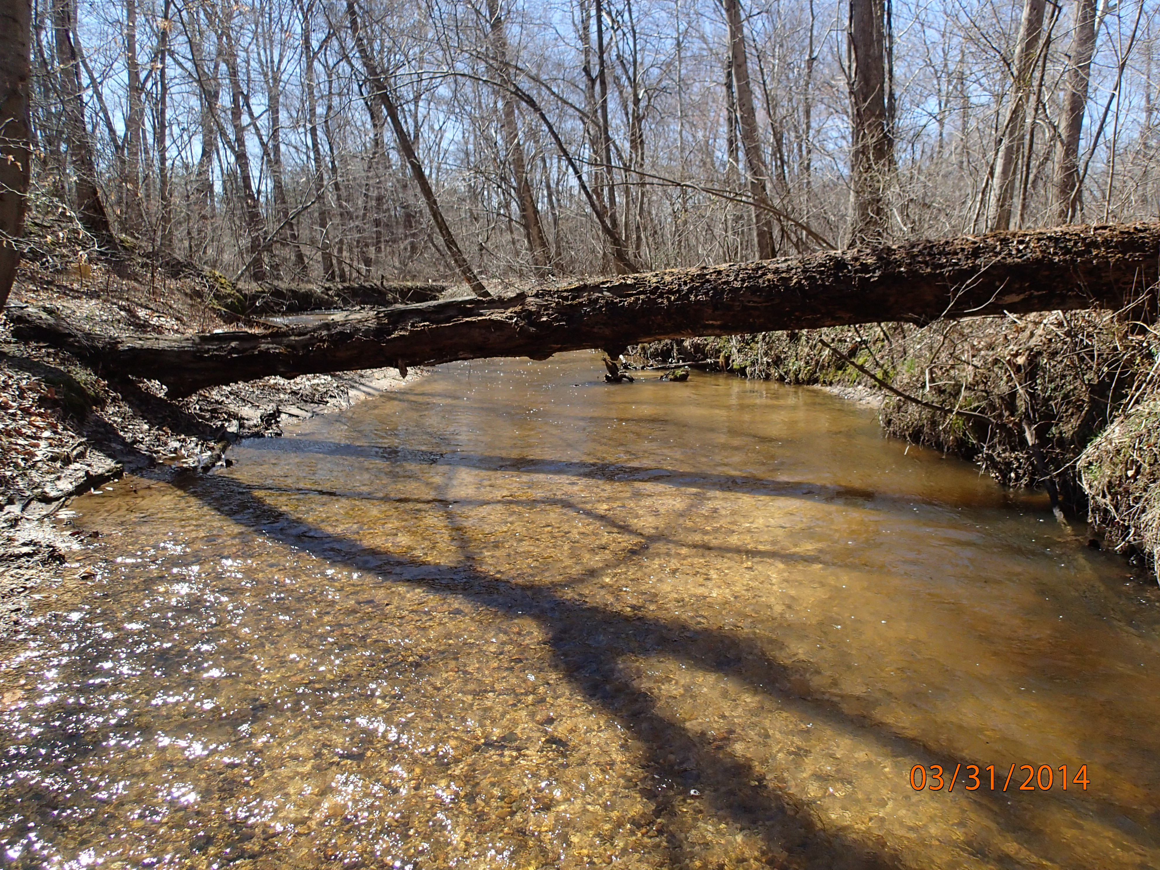 Field photo showing stream conditions at site PAXL-294-S-2014-MidpointUpstream