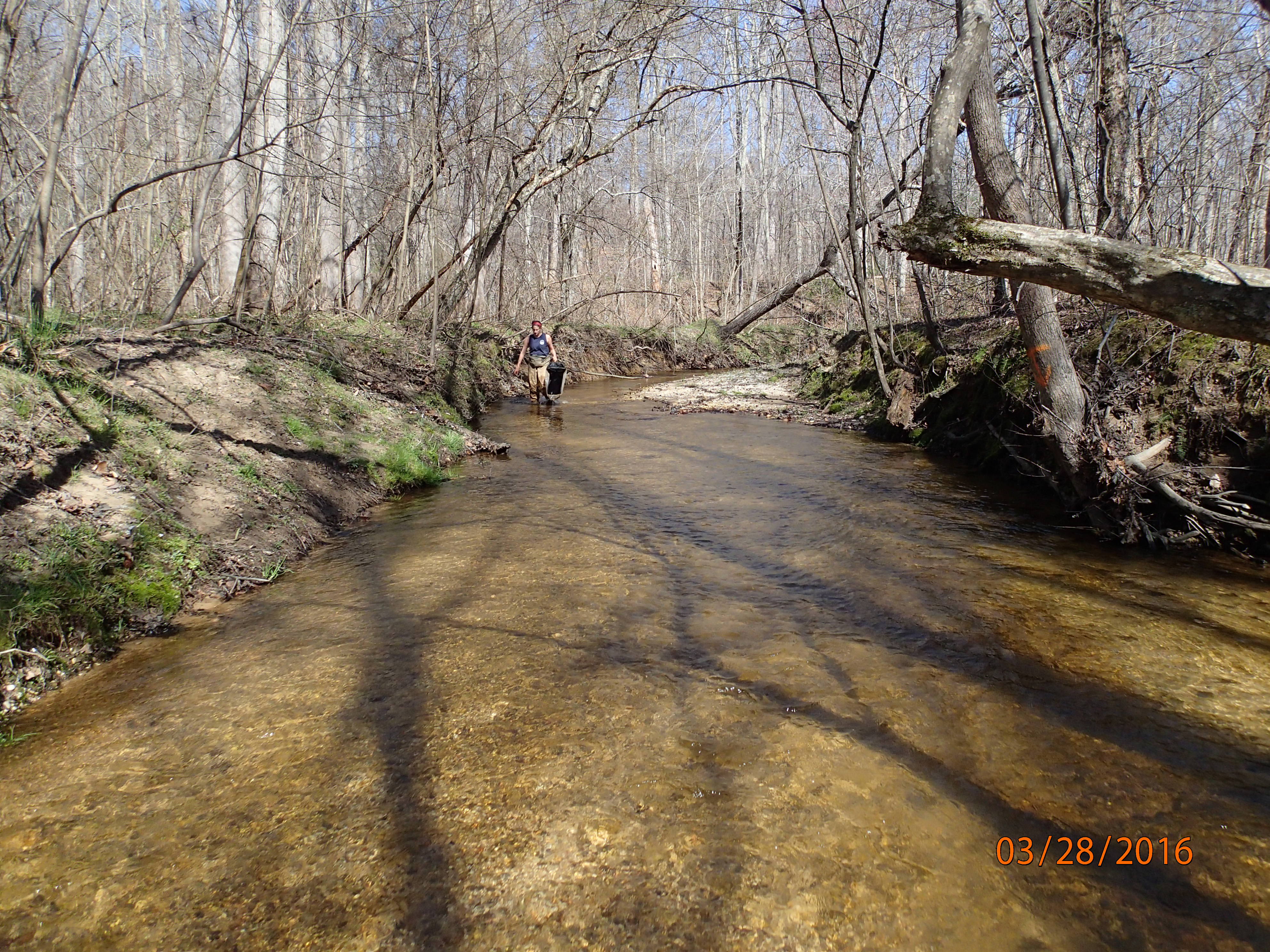 Field photo showing stream conditions at site PAXL-294-S-2016-MidpointPDownstream