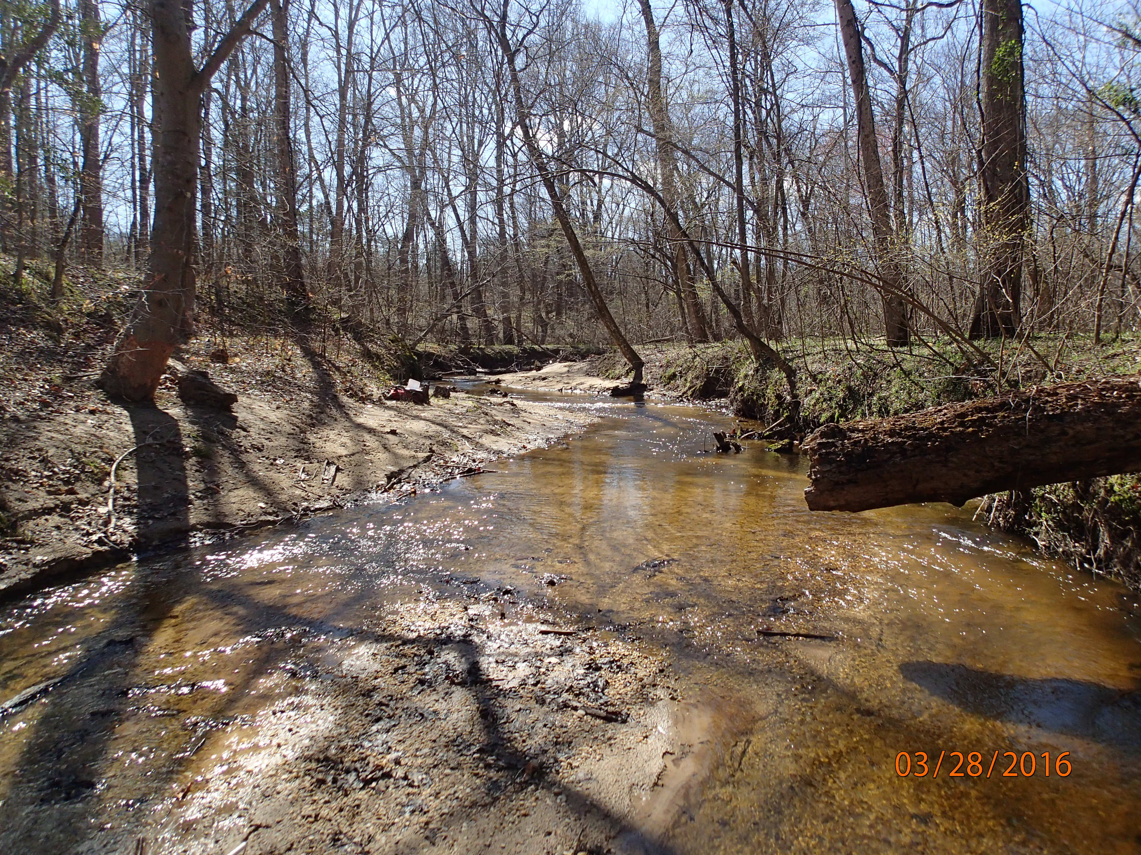 Field photo showing stream conditions at site PAXL-294-S-2016-MidpointPUpstream