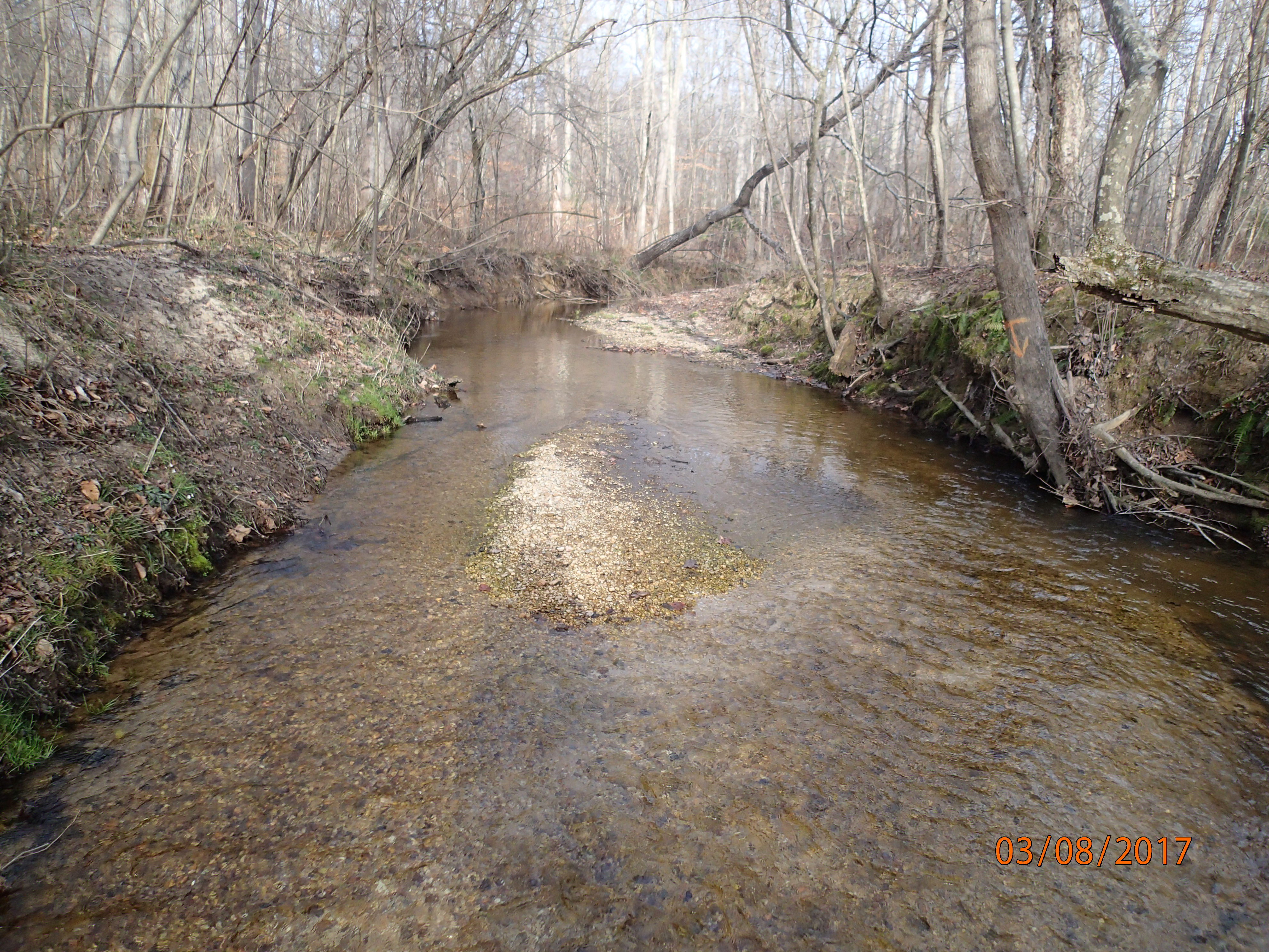 Field photo showing stream conditions at site PAXL-294-S-2017-MidpointPDownstream