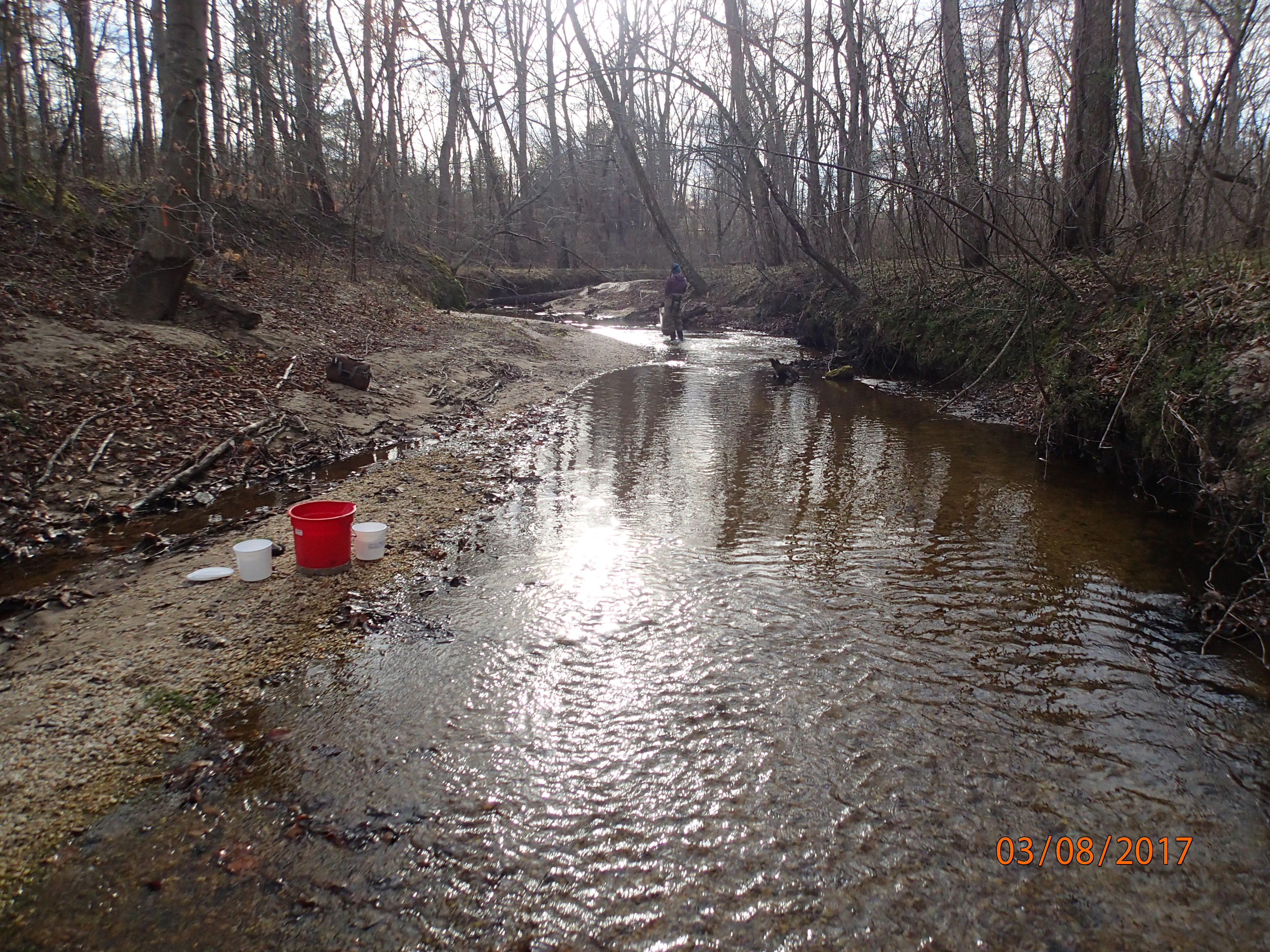 Field photo showing stream conditions at site PAXL-294-S-2017-MidpointPUpstream