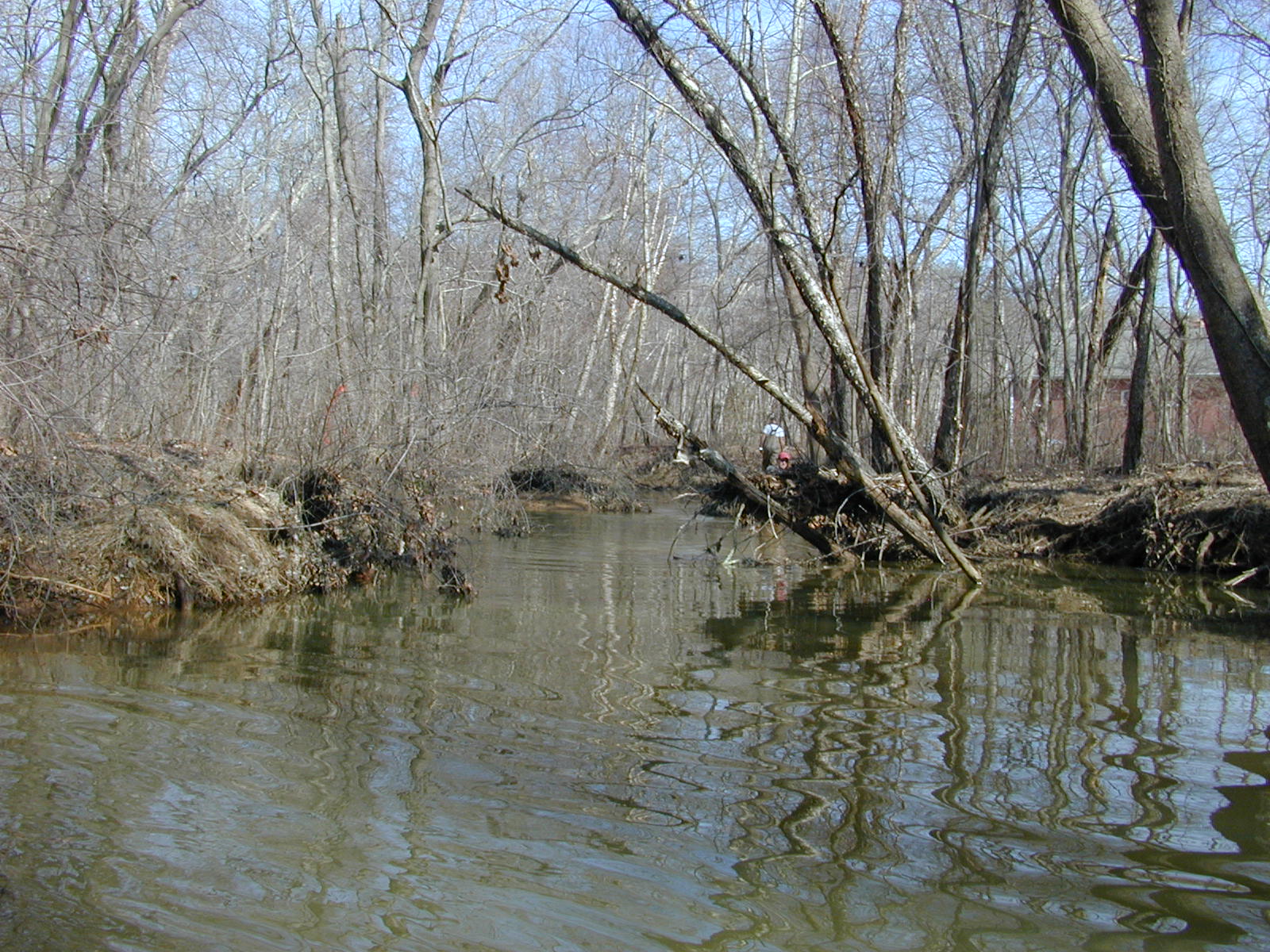 Field photo showing stream conditions at site PAXL-303-R-2004-1