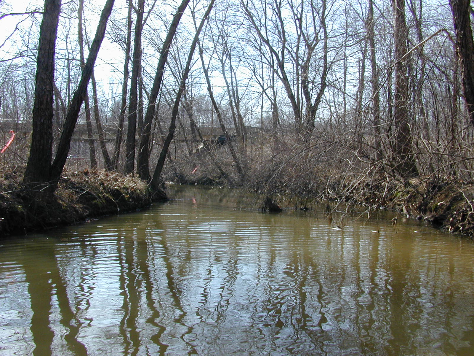 Field photo showing stream conditions at site PAXL-303-R-2004-2