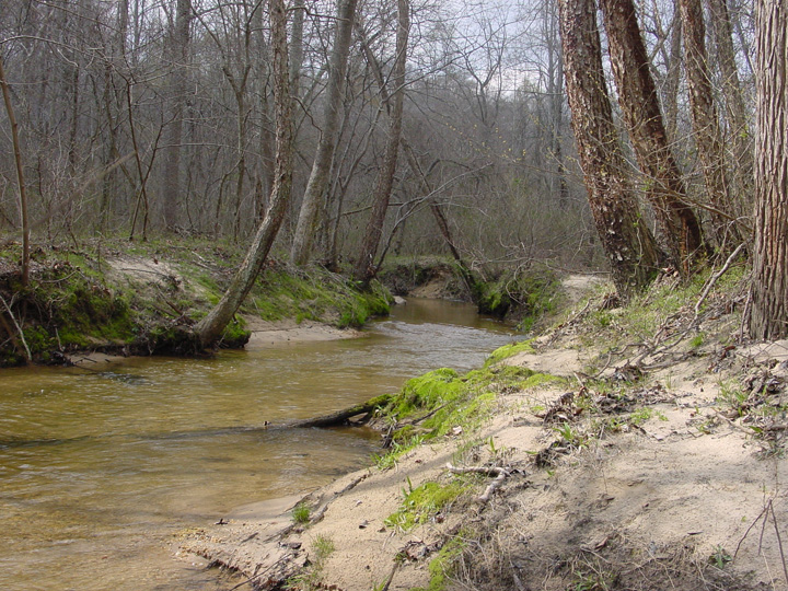 Field photo showing stream conditions at site PAXL-331-A-2007-1
