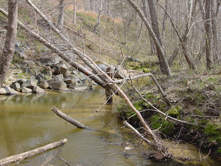 Field photo showing stream conditions at site PAXL-331-A-2007-2