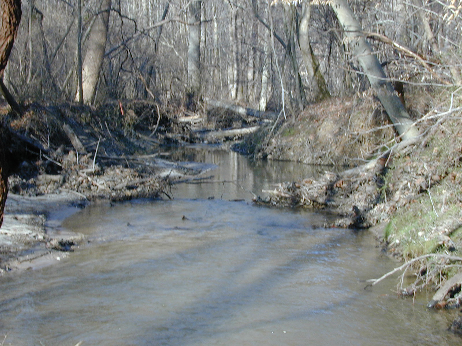 Field photo showing stream conditions at site PAXM-101-R-2001-135