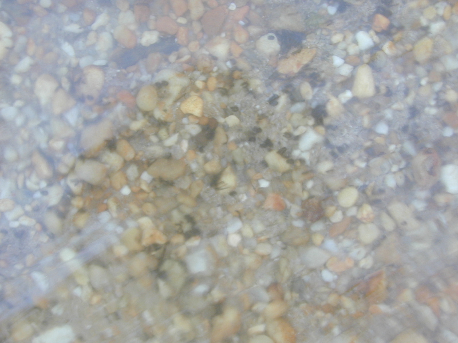 Field photo showing stream conditions at site PAXM-101-R-2001-137
