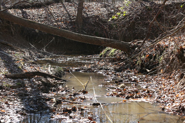 Field photo showing stream conditions at site PAXM-103-R-2009-1