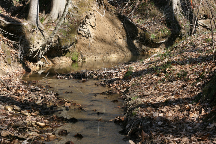 Field photo showing stream conditions at site PAXM-103-R-2009-2