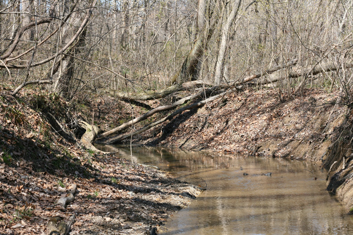 Field photo showing stream conditions at site PAXM-105-R-2009-1