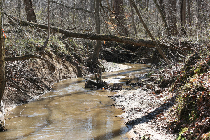 Field photo showing stream conditions at site PAXM-105-R-2009-2