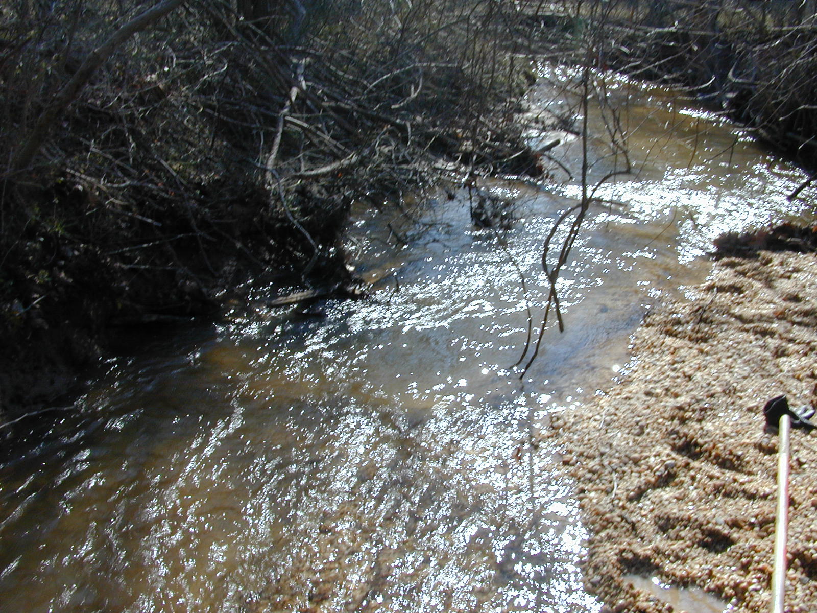 Field photo showing stream conditions at site PAXM-106-R-2001-124