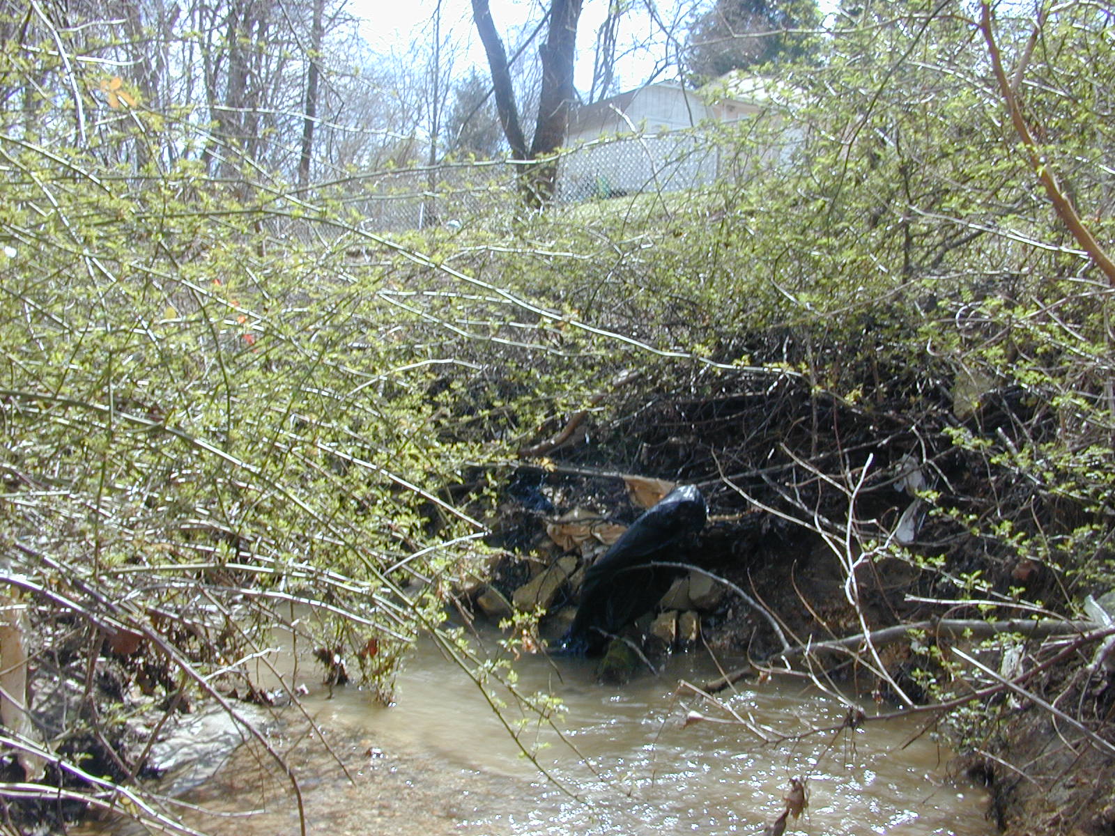 Field photo showing stream conditions at site PAXM-107-R-2001-143