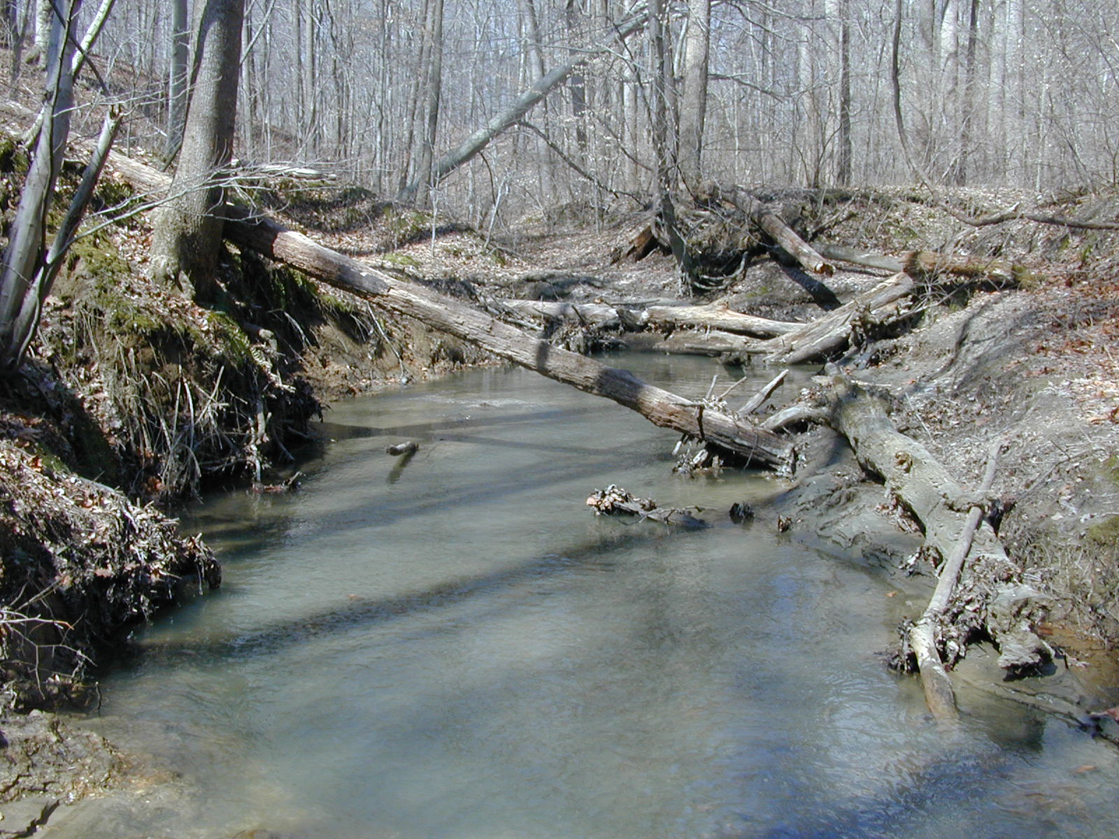 Field photo showing stream conditions at site PAXM-109-R-2001-141