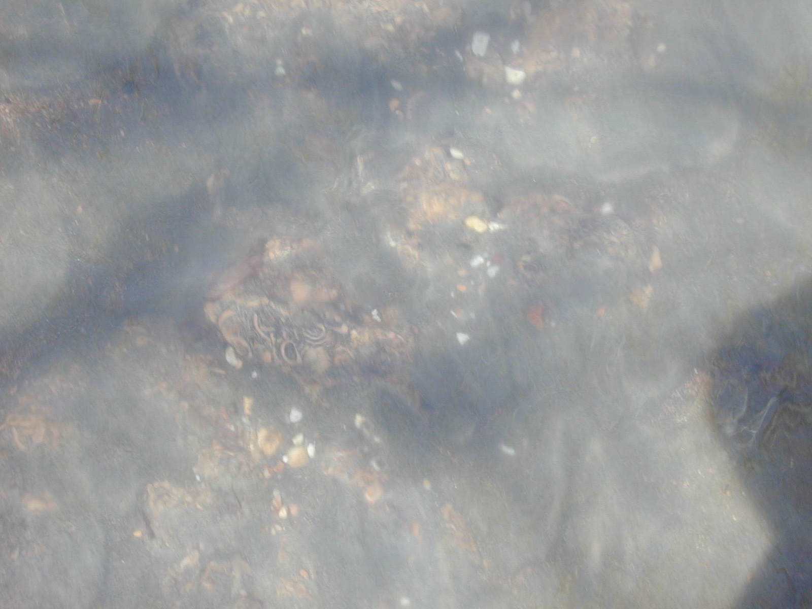 Field photo showing stream conditions at site PAXM-109-R-2001-142