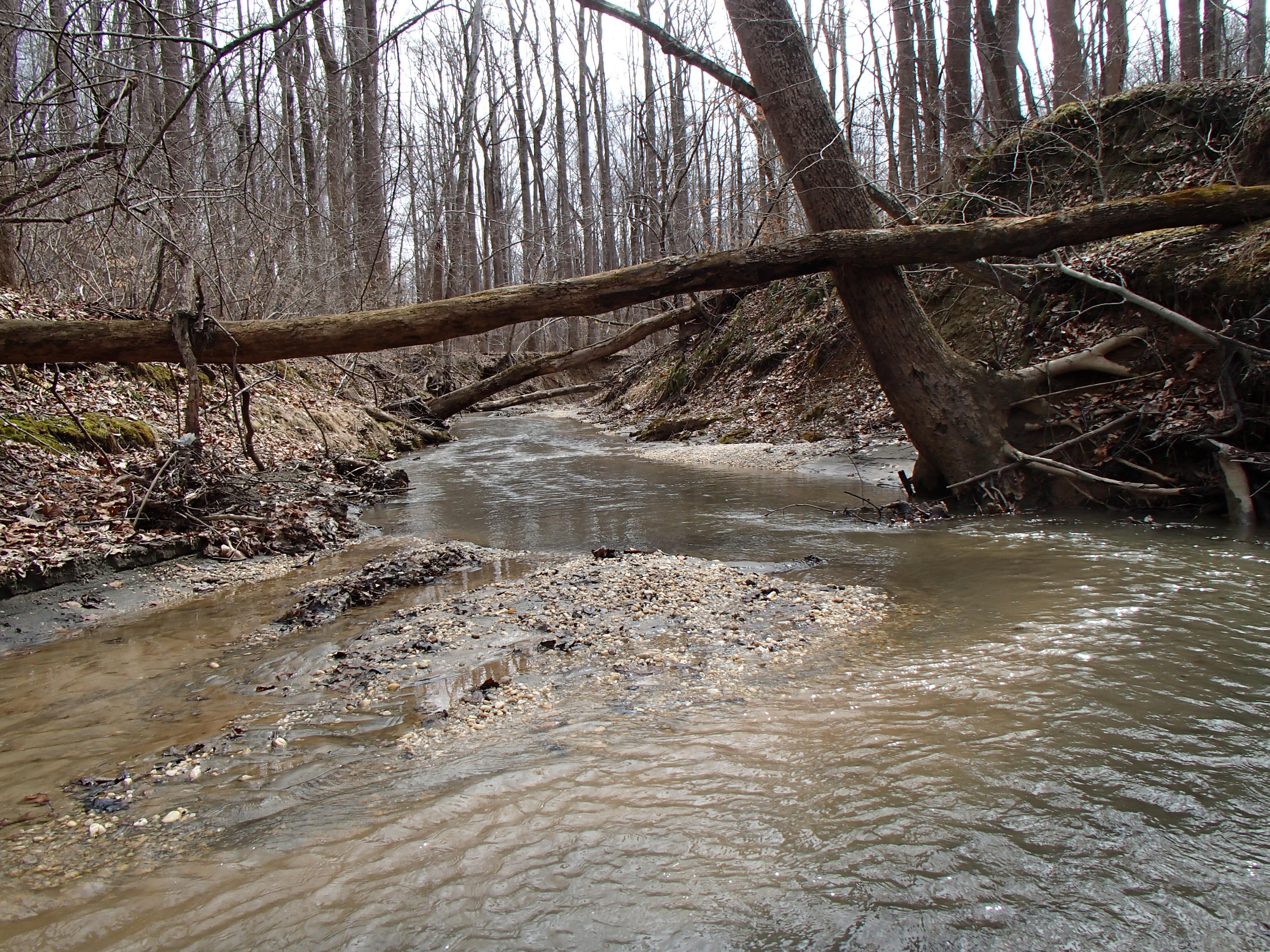 Field photo showing stream conditions at site PAXM-109-R-2015_Midpoint-downstream