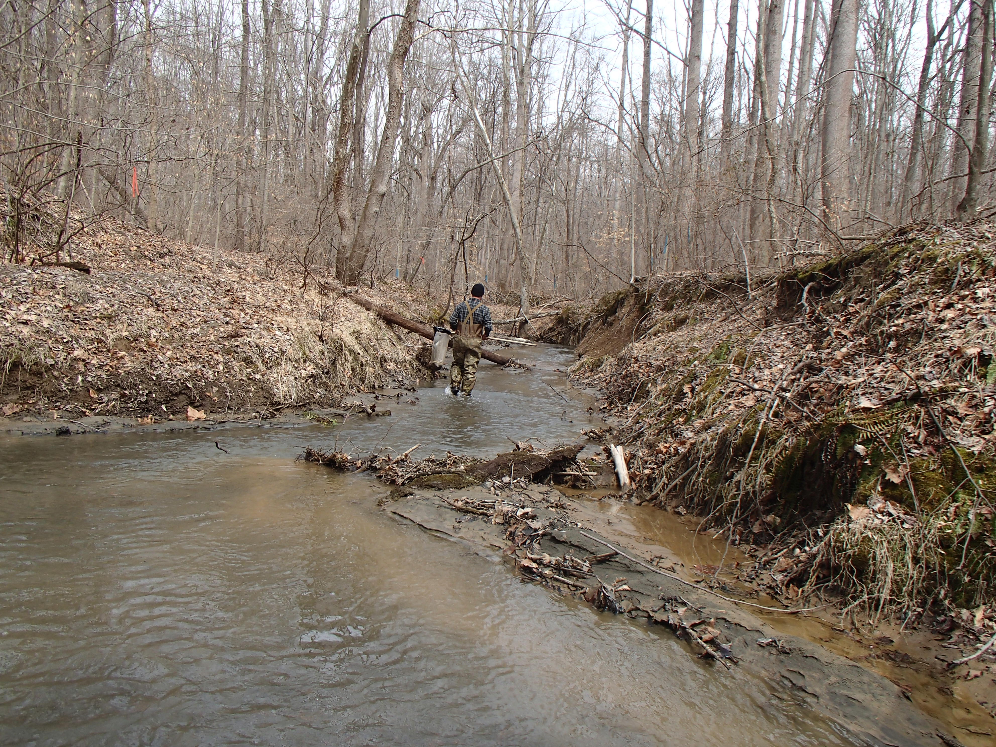 Field photo showing stream conditions at site PAXM-109-R-2015_Midpoint-looking-upstream