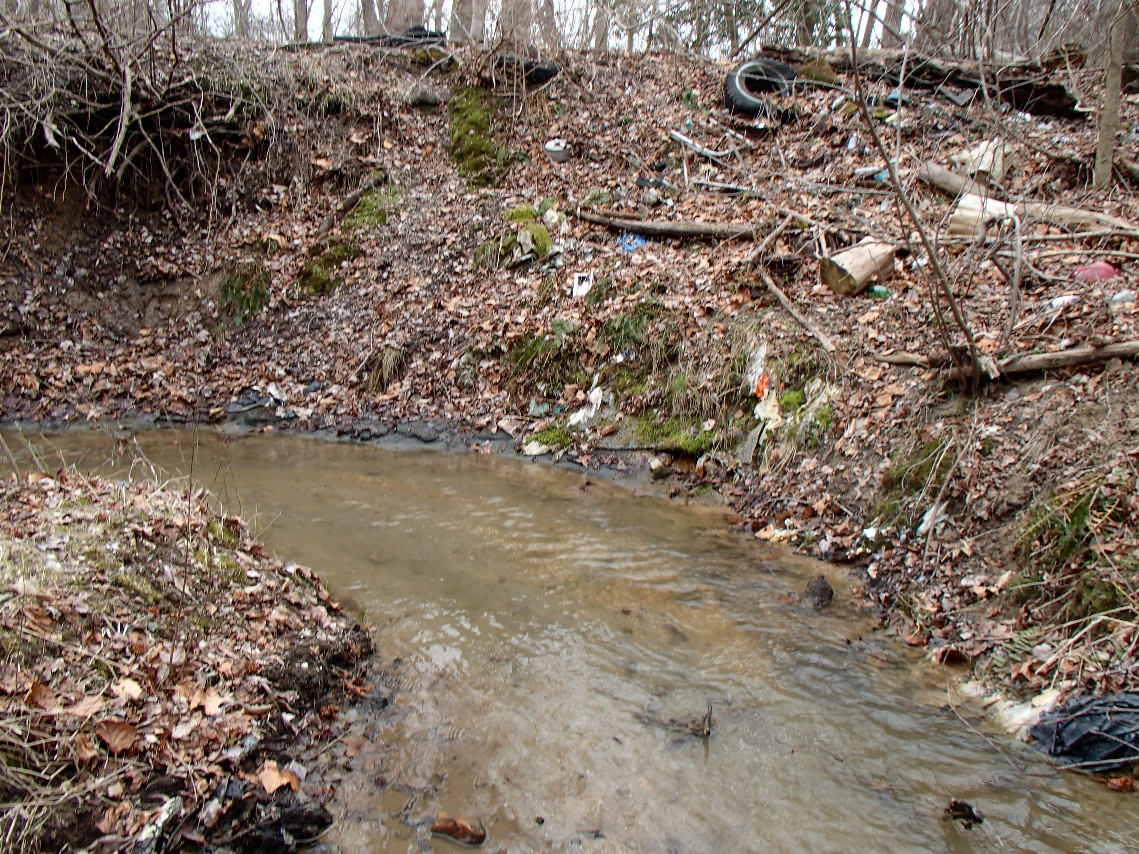 Field photo showing stream conditions at site PAXM-112-R-2015_Midpoint-looking-downstream