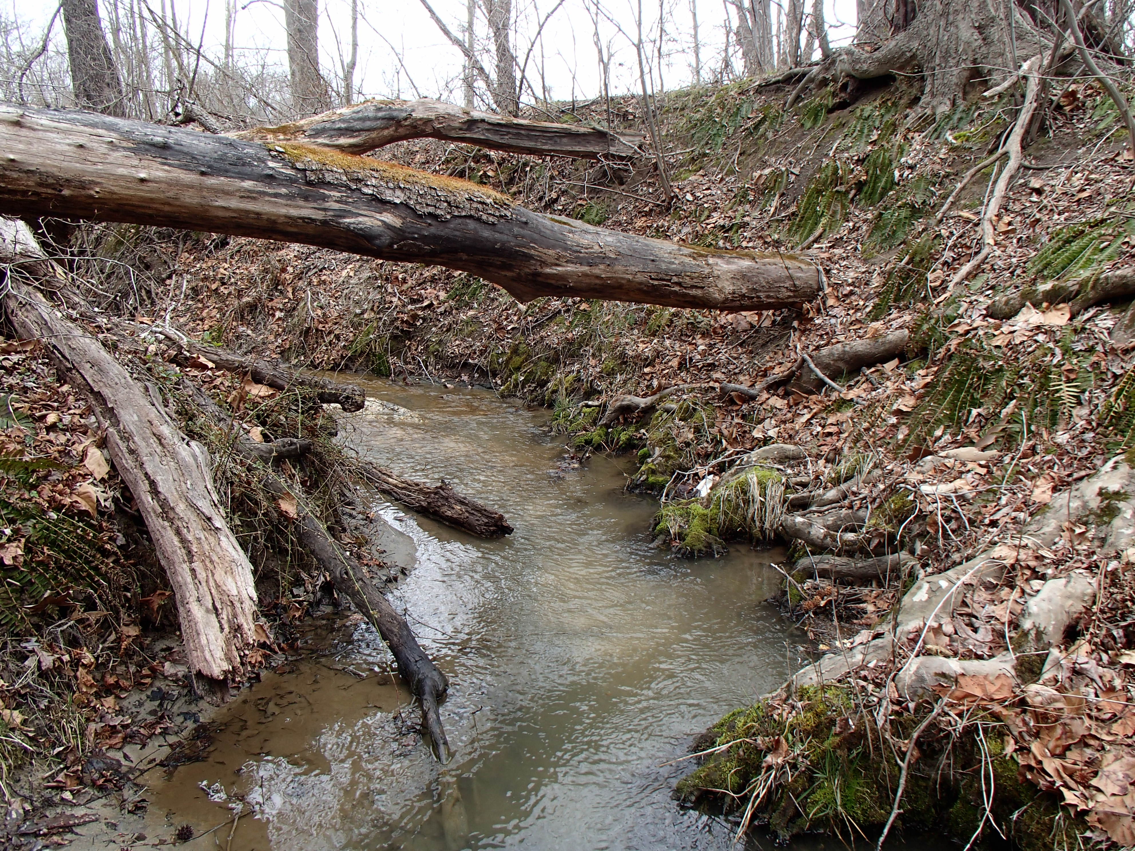 Field photo showing stream conditions at site PAXM-112-R-2015_Midpoint-looking-upstream
